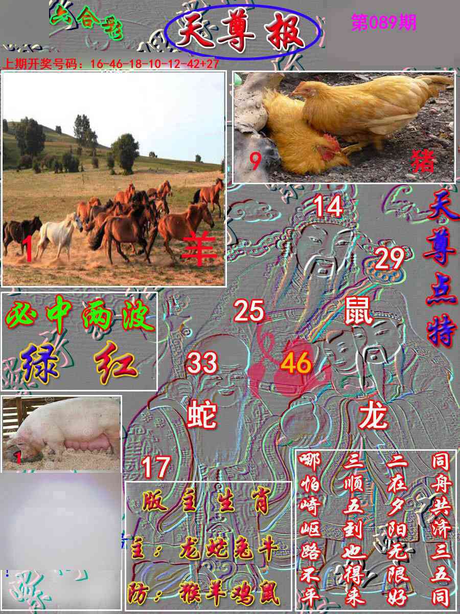089期天尊报[图]