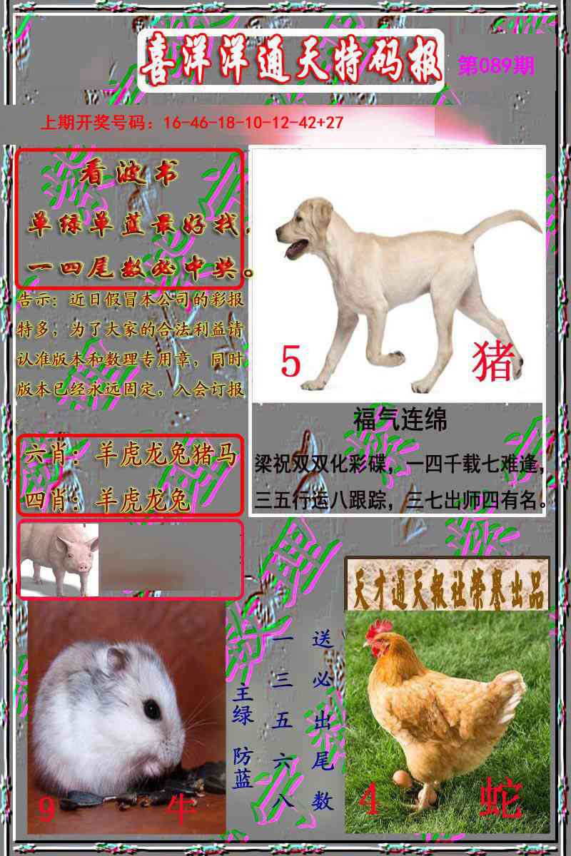 089期洋通报[图]